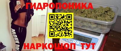 гашик Балахна