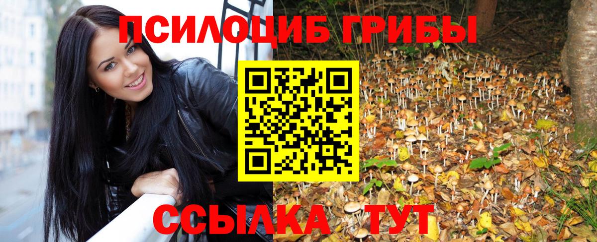 Галлюциногенные грибы ЛСД  Вход с VPN  Гурьевск  Псилоцибиновые грибы мухоморы 