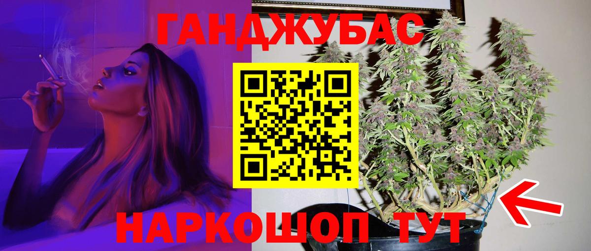 Шишки марихуана семена  Вход с VPN  Гурьевск  Марихуана марихуана 